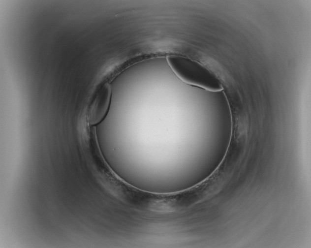 X0000115530680200911131506