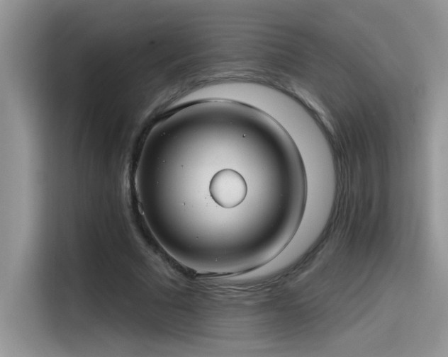 X0000115530681200911131506