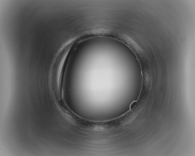 X0000115530684200911131506