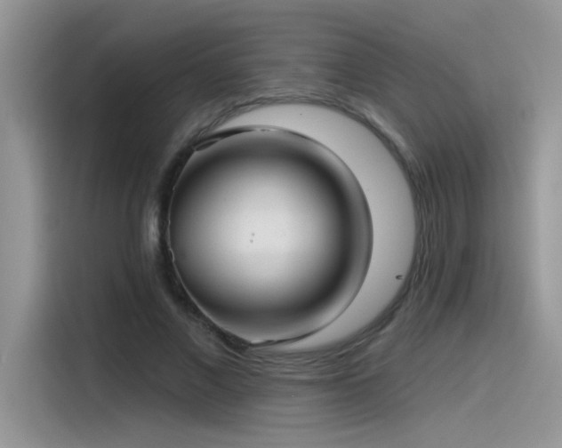 X0000115530685200911131506