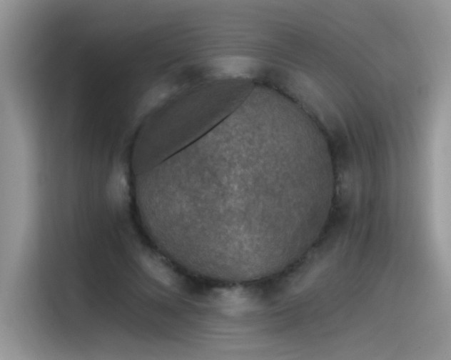 X0000115530688200911131506