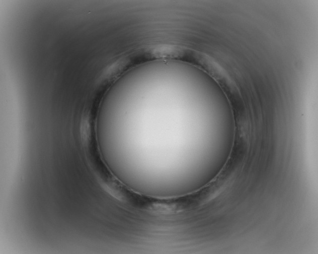 X0000115530690200911131506