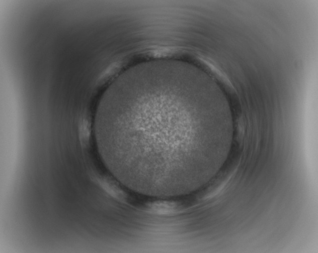 X0000115530691200911131506