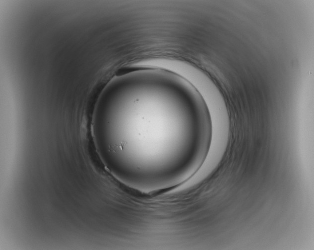 X0000115530693200911131506