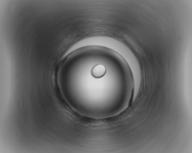 X0000115530696200911131505