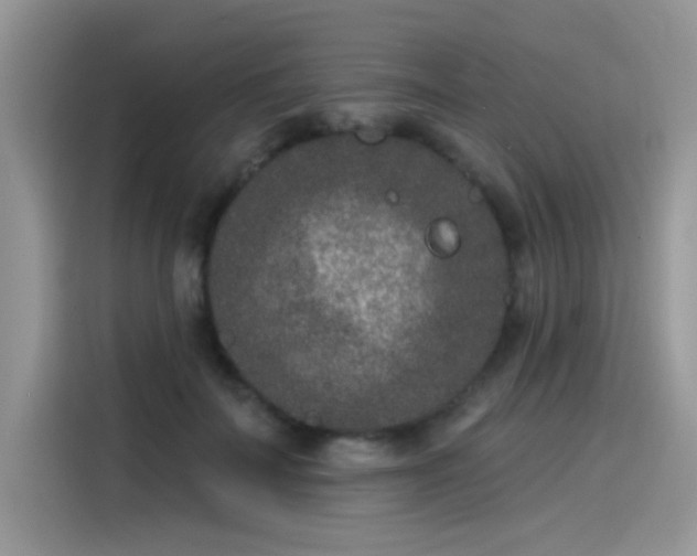 X0000115530699200911131505