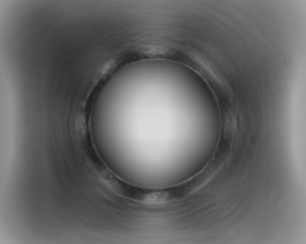 X0000115530700200911131505