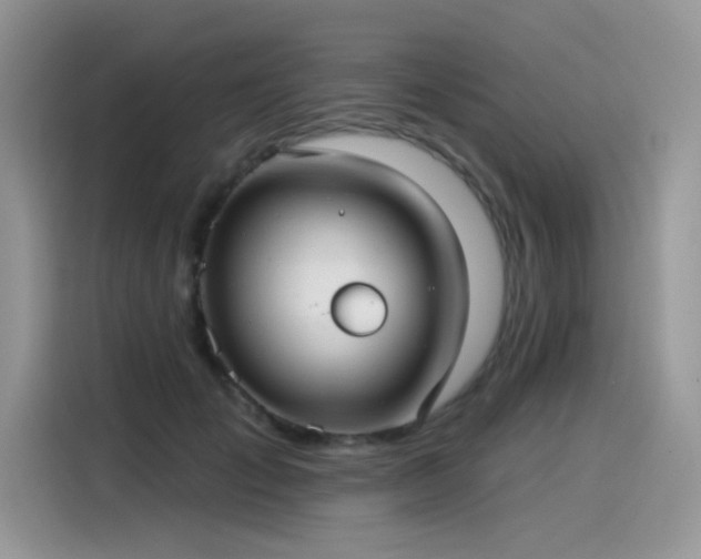 X0000115530701200911131505