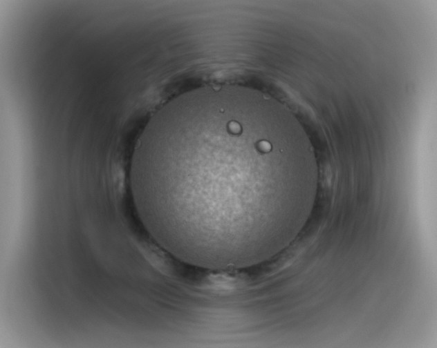 X0000115530703200911131505