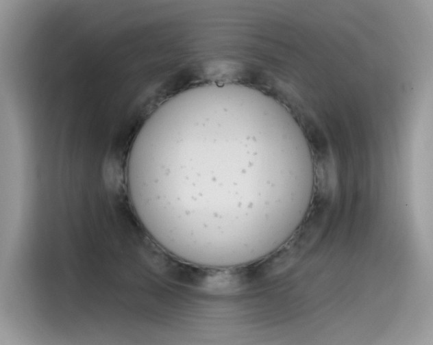 X0000115530705200911131505