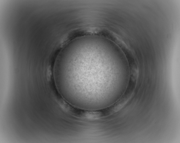 X0000115530707200911131505