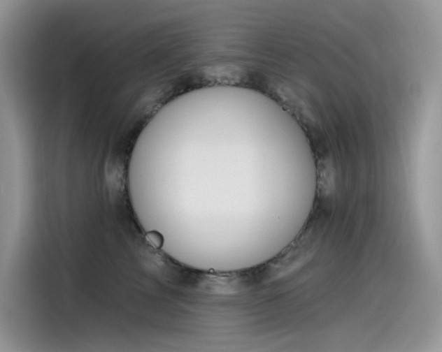 X0000115530713200911131505