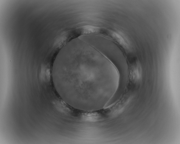 X0000115530716200911131505