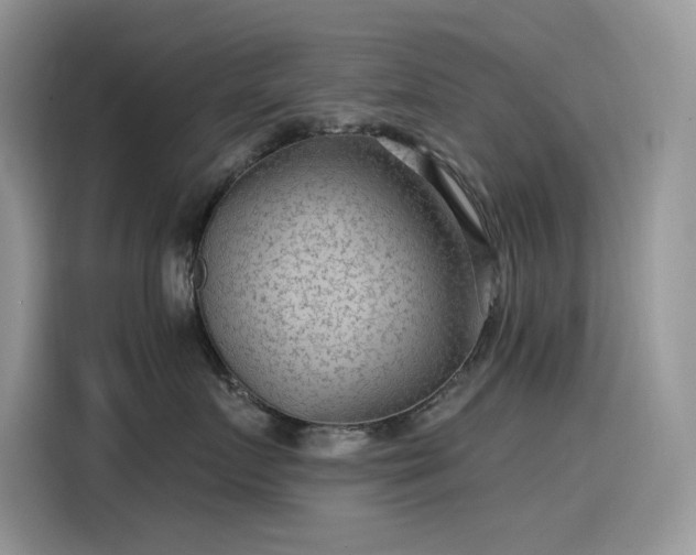 X0000115530719200911131505