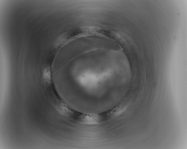 X0000115530720200911131505