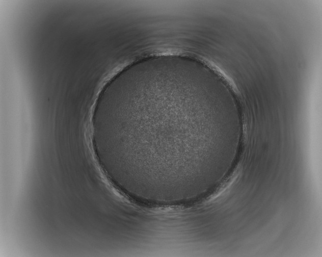 X0000115530721200911131505