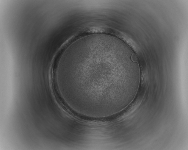 X0000115530722200911131505