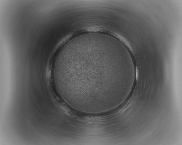 X0000115530723200911131505