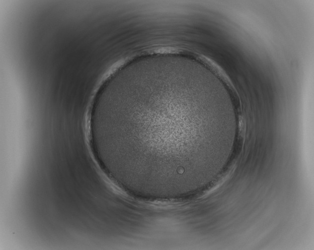 X0000115530725200911131505