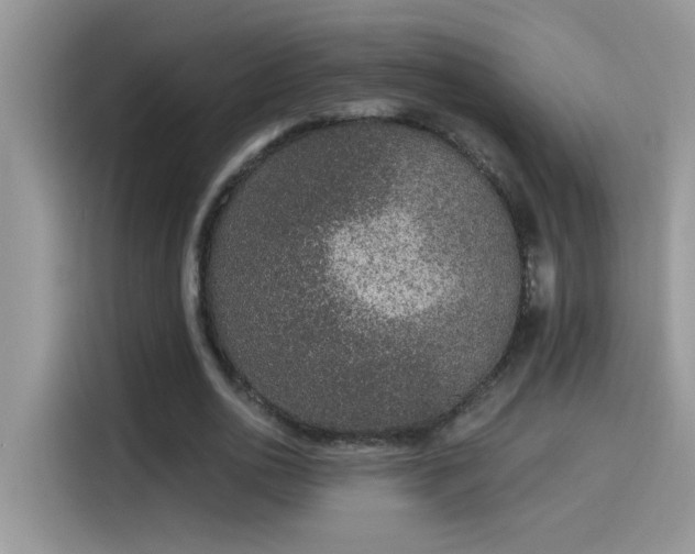 X0000115530726200911131505