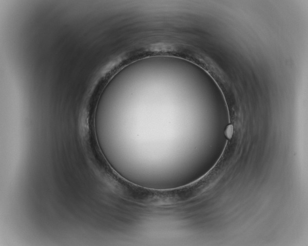 X0000115530727200911131505