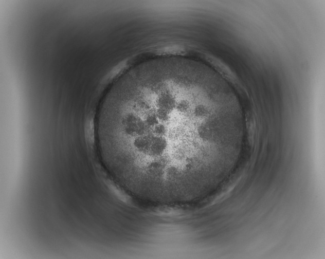 X0000115530729200911131505