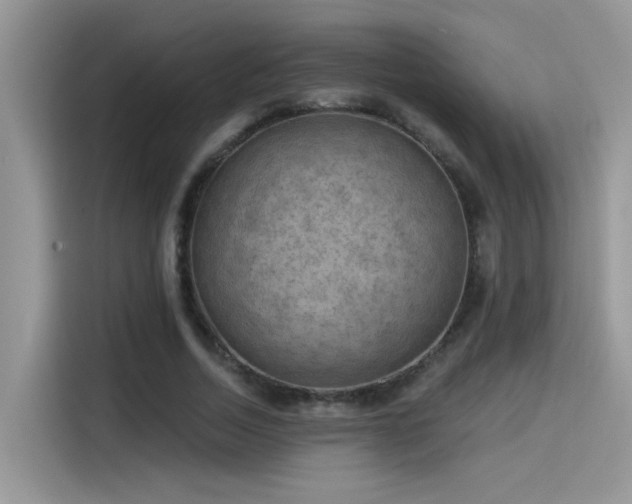 X0000115530730200911131505