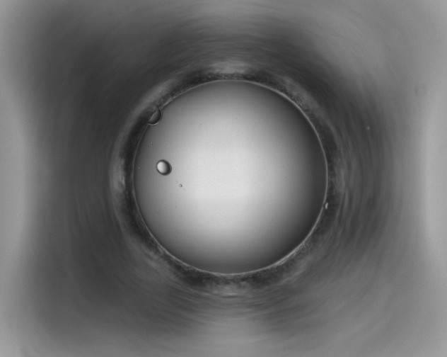 X0000115530731200911131505