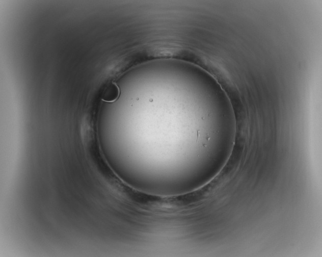 X0000115530743200911131505