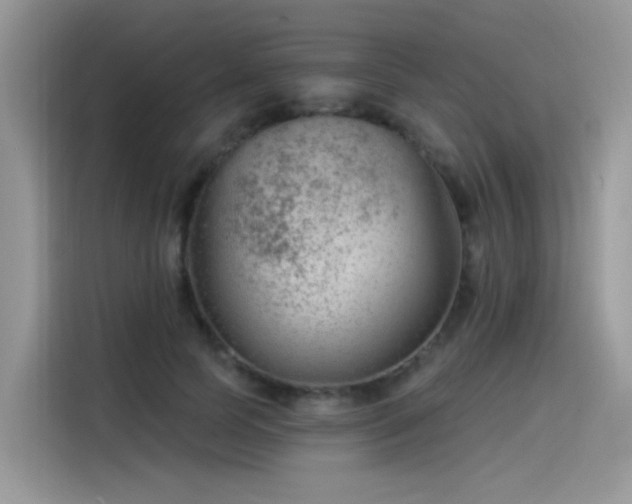 X0000115530745200911131505