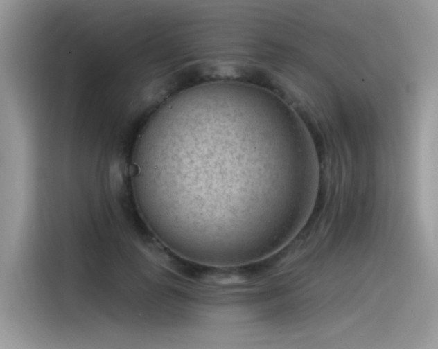 X0000115530747200911131505