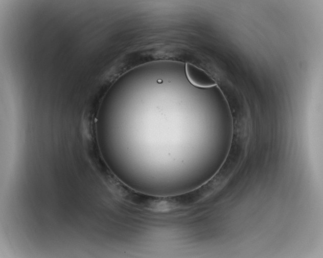 X0000115530755200911131505