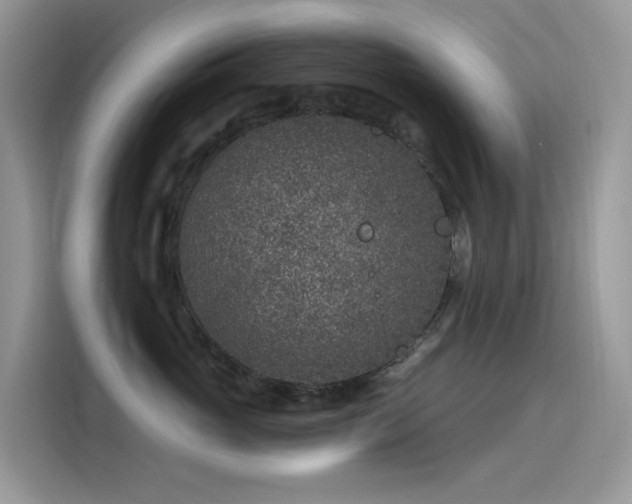 X0000115530765200911131505