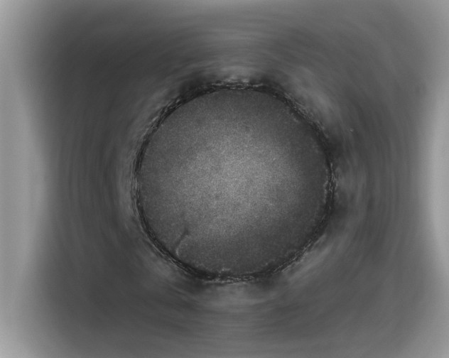 X0000115530769200911131505