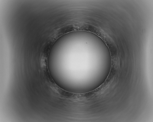 X0000115530770200911131505