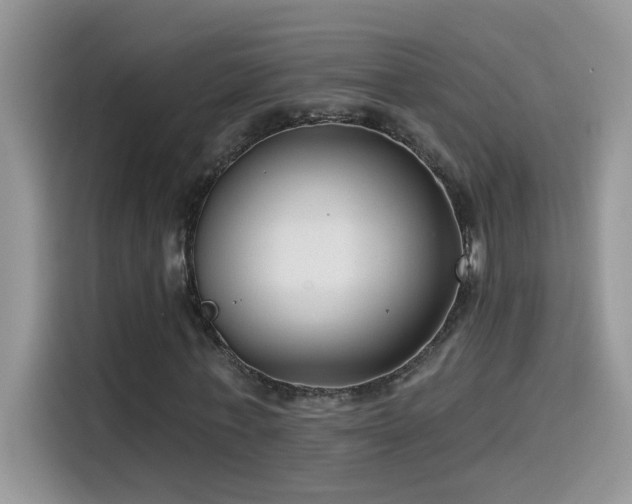 X0000115530771200911131504