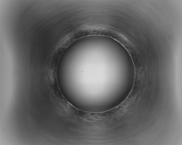 X0000115530774200911131504