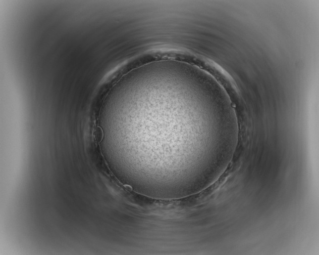 X0000115530775200911131504