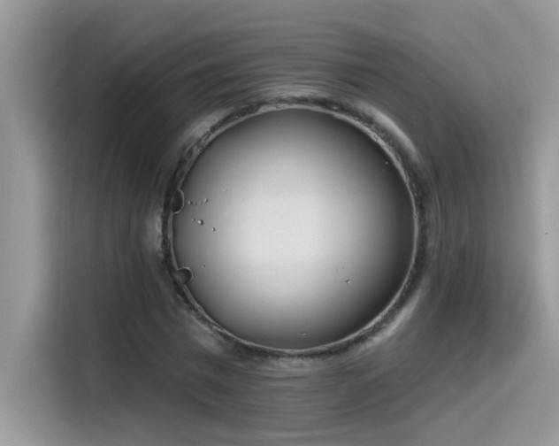 X0000115530777200911131504