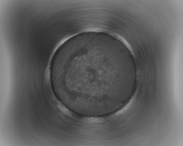 X0000115530779200911131504