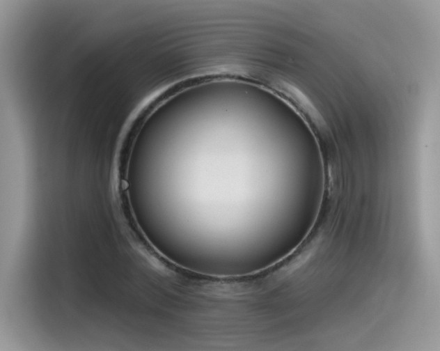 X0000115530780200911131504