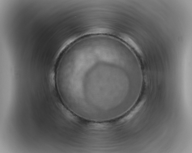 X0000115530781200911131504