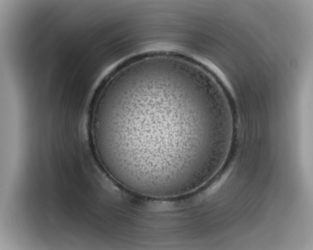 X0000115530783200911131504