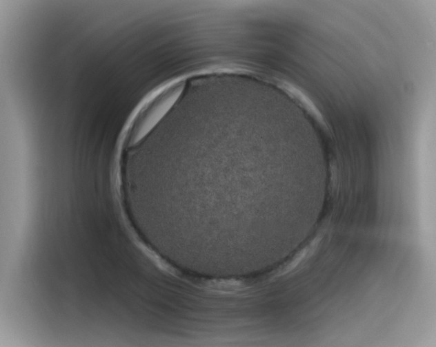 X0000115530784200911131504