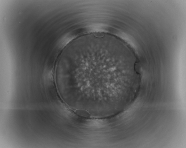 X0000115530785200911131504