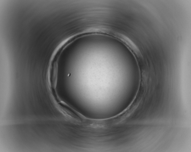 X0000115530788200911131504