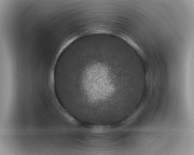 X0000115530790200911131504