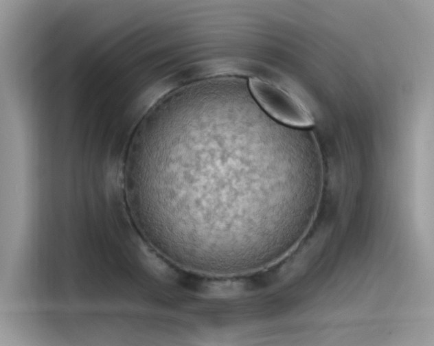 X0000115530793200911131504