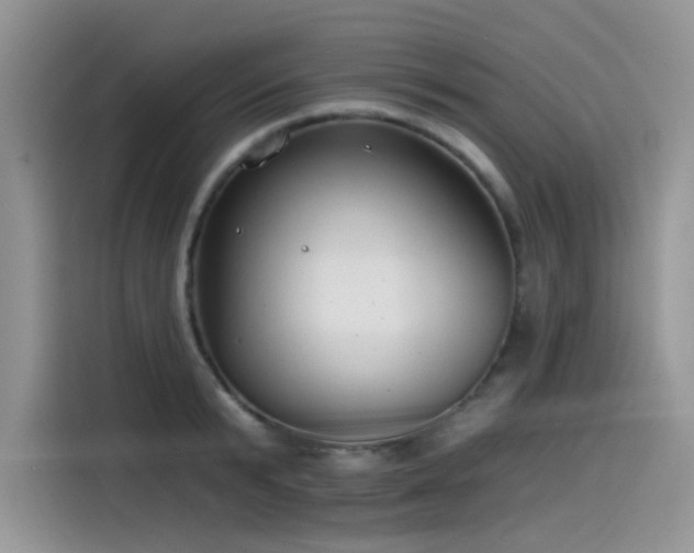 X0000115530799200911131504