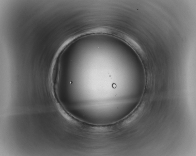 X0000115530800200911131504